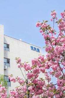 12 月 29 日下午